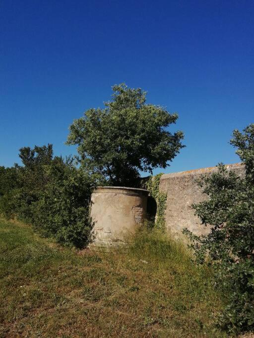 Le Soleil D Eugenie Appartement Dans Residence Avec Piscine Commune Pres De Carcassonne Olonzac Luaran gambar