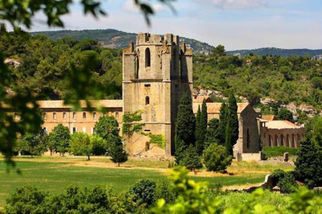 Le Soleil D Eugenie Appartement Dans Residence Avec Piscine Commune Pres De Carcassonne Olonzac Luaran gambar