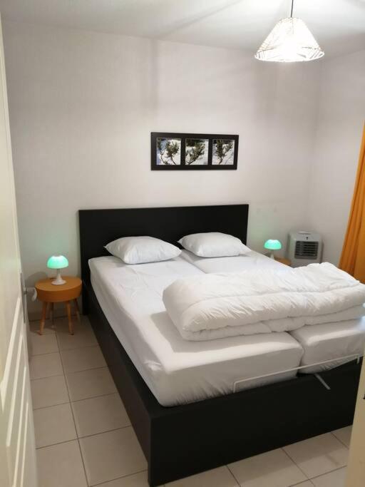 Le Soleil D Eugenie Appartement Dans Residence Avec Piscine Commune Pres De Carcassonne Olonzac Luaran gambar