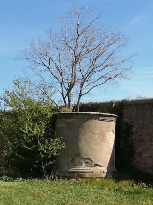 Le Soleil D Eugenie Appartement Dans Residence Avec Piscine Commune Pres De Carcassonne Olonzac Luaran gambar