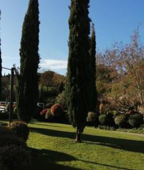 Le Soleil D Eugenie Appartement Dans Residence Avec Piscine Commune Pres De Carcassonne Olonzac Luaran gambar