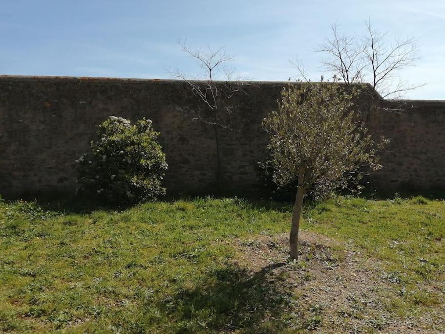 Le Soleil D Eugenie Appartement Dans Residence Avec Piscine Commune Pres De Carcassonne Olonzac Luaran gambar